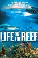Watch Life on the Reef Gomovies