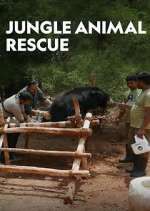 Watch Jungle Animal Rescue Gomovies