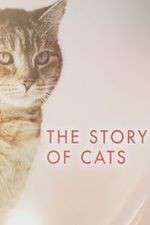 Watch The Story of Cats Gomovies