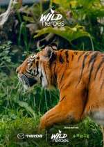 Watch Wild Heroes Gomovies