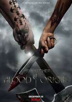 Watch The Witcher: Blood Origin Gomovies