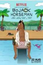 Watch BoJack Horseman Gomovies