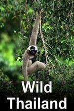 Watch Wild Thailand Gomovies