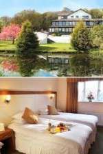 Watch The Hotel Gomovies