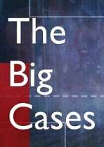 Watch The Big Cases Gomovies