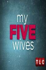 Watch My Five Wives Gomovies