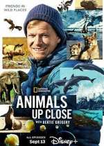 Watch Animals Up Close with Bertie Gregory Gomovies