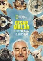 Watch Cesar Millan: Better Human Better Dog Gomovies