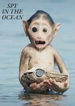 Watch Spy in the Ocean Gomovies