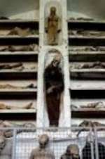 Watch Mummies Never Die Gomovies