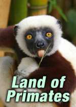 Watch Land of Primates Gomovies