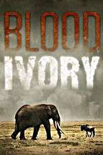 Watch Blood Ivory Gomovies