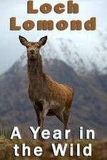 Watch Loch Lomond: A Year in the Wild Gomovies