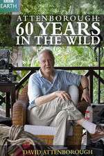 Watch Attenborough 60 Years in the Wild Gomovies