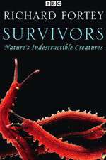 Watch Survivors: Nature's Indestructible Creatures Gomovies