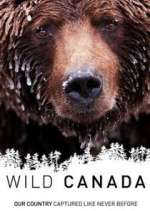 Watch Wild Canada Gomovies