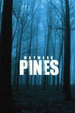 Watch Wayward Pines Gomovies