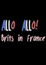 Watch Allo Allo! Brits in France Gomovies