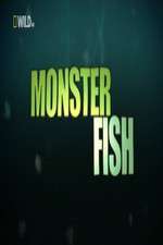 Watch National Geographic Monster Fish Gomovies