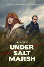 under salt marsh season 1 episode 4 tv poster