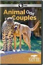 Watch Animal Odd Couples Gomovies