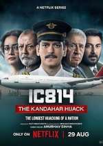 Watch IC 814: The Kandahar Hijack Gomovies