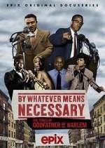 Watch By Whatever Means Necessary: The Times of Godfather of Harlem Gomovies