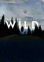 Watch Called to the Wild Gomovies