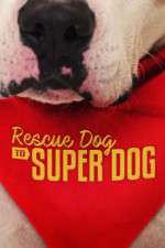 Watch Rescue Dog to Super Dog (US) Gomovies