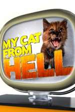 Watch My Cat from Hell Gomovies