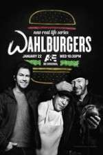 Watch Wahlburgers Gomovies