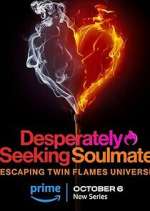 Watch Desperately Seeking Soulmate: Escaping Twin Flames Universe Gomovies