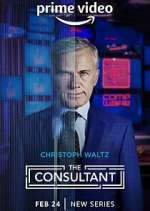 Watch The Consultant Gomovies