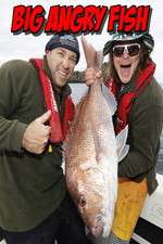 Watch Big Angry Fish Gomovies
