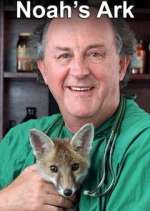 Watch Noah's Ark Gomovies