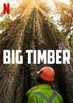 Watch Big Timber Gomovies