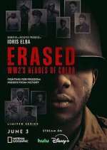Watch Erased: WW2's Heroes of Color Gomovies