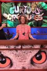 Watch Curious Creatures Gomovies