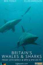 Watch Britain's Whales and Sharks Gomovies