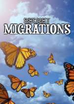 Watch Secret Migrations Gomovies