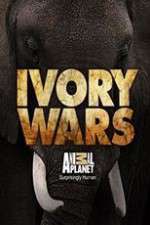 Watch Ivory Wars Gomovies