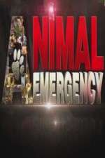 Watch Animal Emergency Gomovies