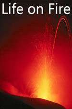 Watch Life on Fire Gomovies