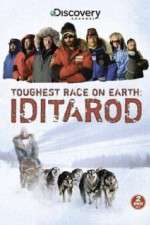 Watch Iditarod Gomovies