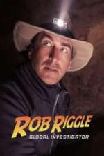 Watch Rob Riggle: Global Investigator Gomovies