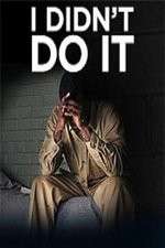 Watch I Didn't Do It (2012) Gomovies