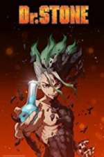 Watch Dr. Stone Gomovies