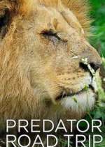 Watch Predator Road Trip Gomovies