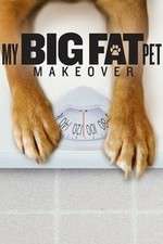 Watch My Big Fat Pet Makeover Gomovies