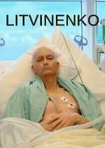 Watch Litvinenko Gomovies